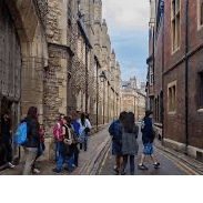 Leisurely Walk with Simone banner image