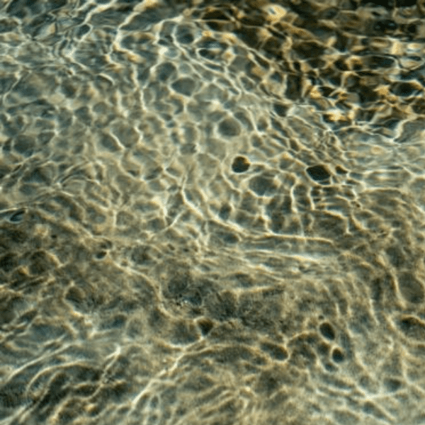 Tales of Clear Waters: Stories, Songs and Memories inspired by Springhead banner image