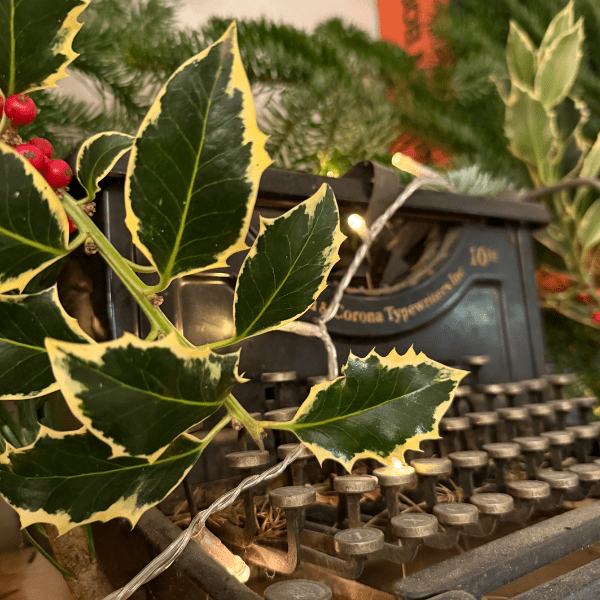 FORUM Books Christmas Social banner image