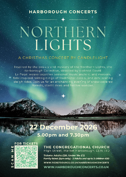 Northern Lights banner image