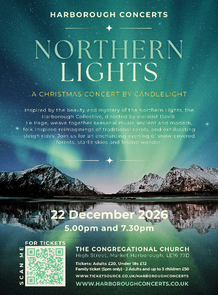 Northern Lights banner image