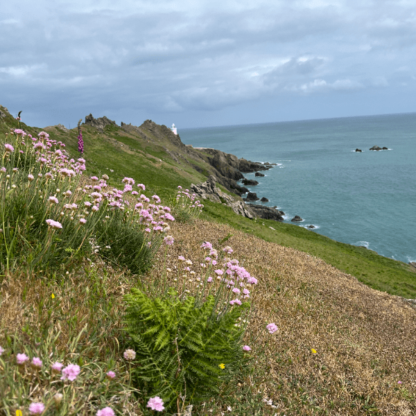 Life on the Edge Walks Series (22) &ndash; Start Point &amp; Lannacombe (farming for invertebrates) banner image