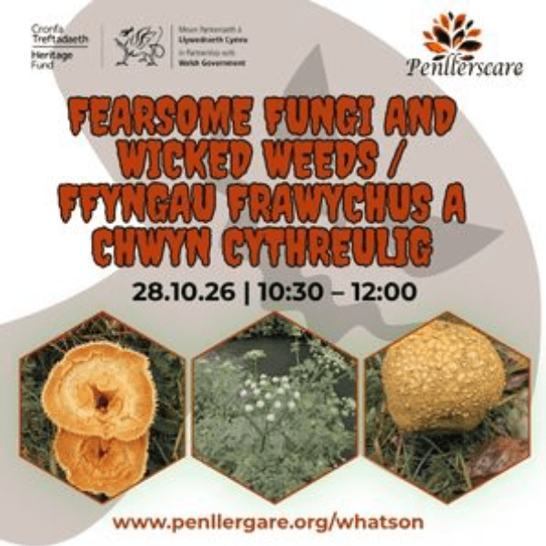 Fearsome Fungi and Wicked Weeds Walk banner image