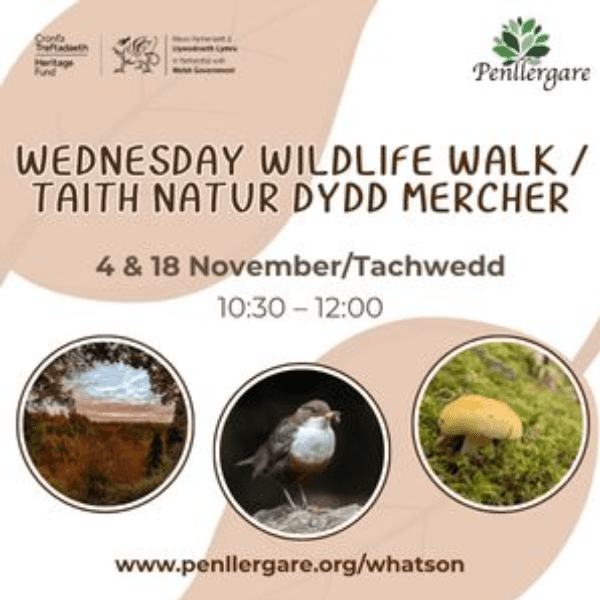 Wednesday Wildlife Walks banner image