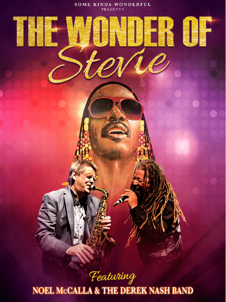 The Wonder of Stevie banner image
