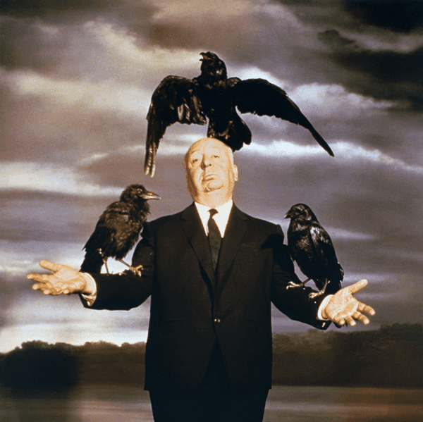 CINEMA - The Birds banner image