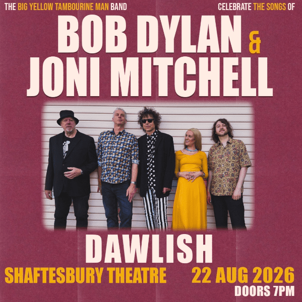 The Big Yellow Tambourine Man Band banner image