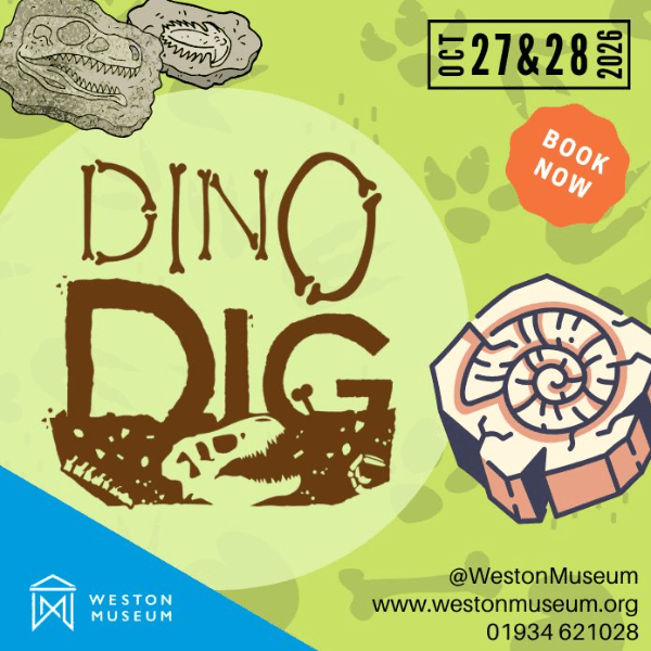 Dino Dig Sessions banner image