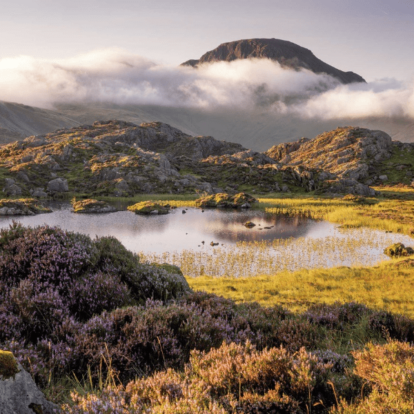 Countrystride Live : A Celebration of the Fells: Wainwright’s Pictorial Guides & The Best Fell in Lakeland