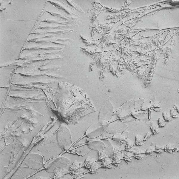 Botanical Casting with Hannah Gregory, Creative Ewe