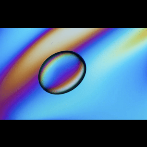 Linden Gledhill - Microscopic Photography banner image