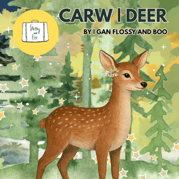 Flossy &amp; Boo: Carw banner image