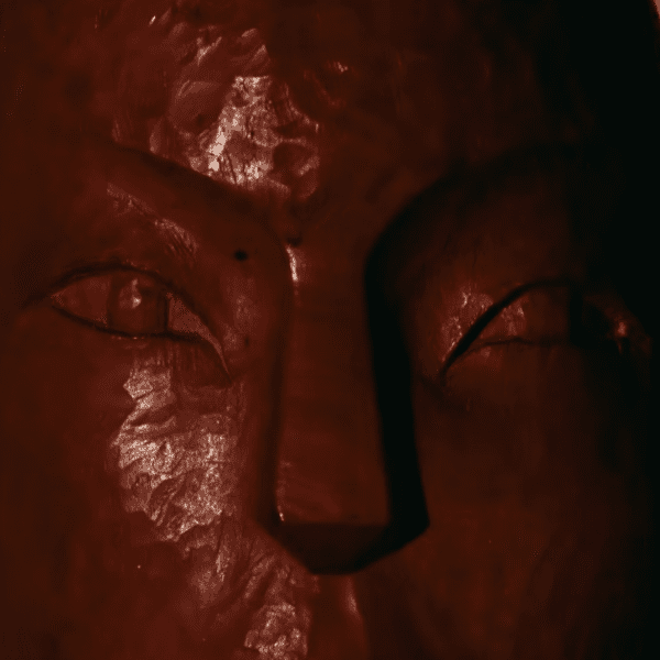 Film Premiere: What the Spirit Carved banner image