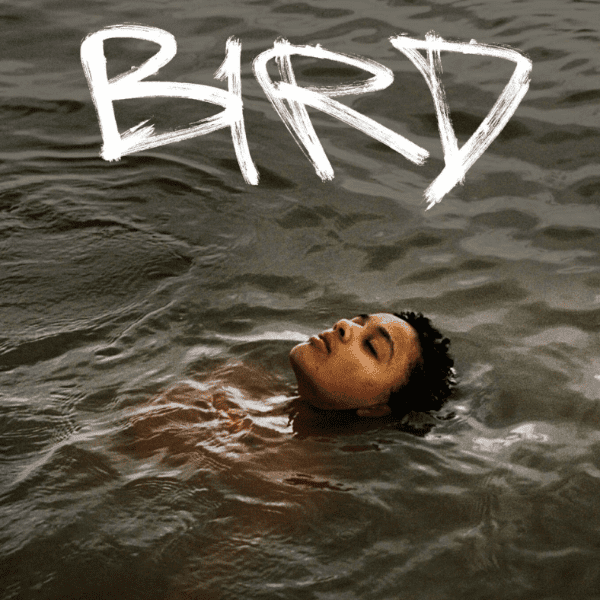 Bird - Ware's the Film Festival banner image