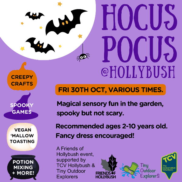 Hocus Pocus banner image