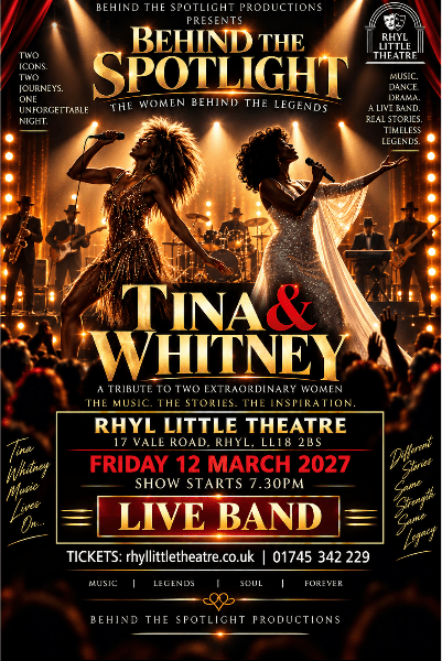 Behind the Spotlight: Tina Turner &amp; Whitney Houston banner image