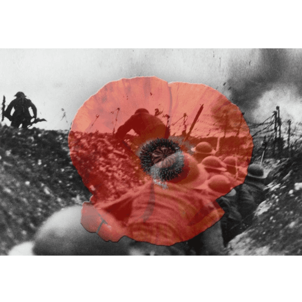 An Evening of Remembrance with Massed Male Choirs, School Choirs &amp; Lewis Merthyr Band banner image