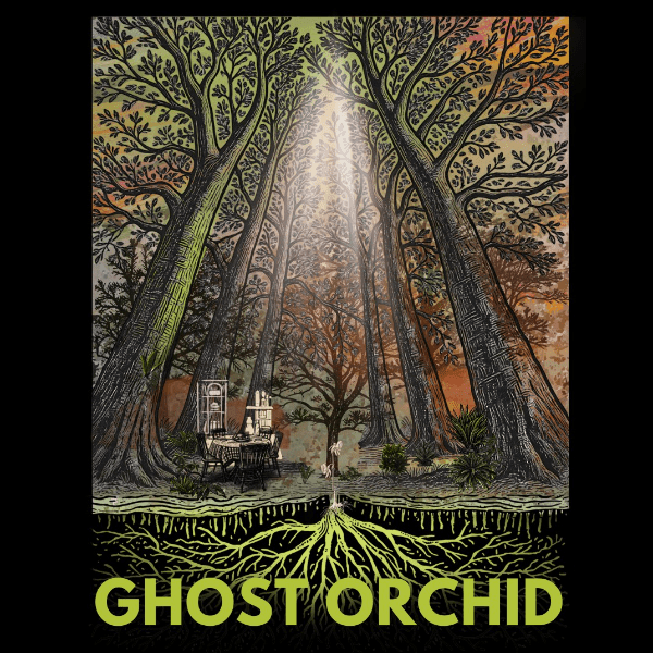 Ghost Orchid - immersive audio play banner image
