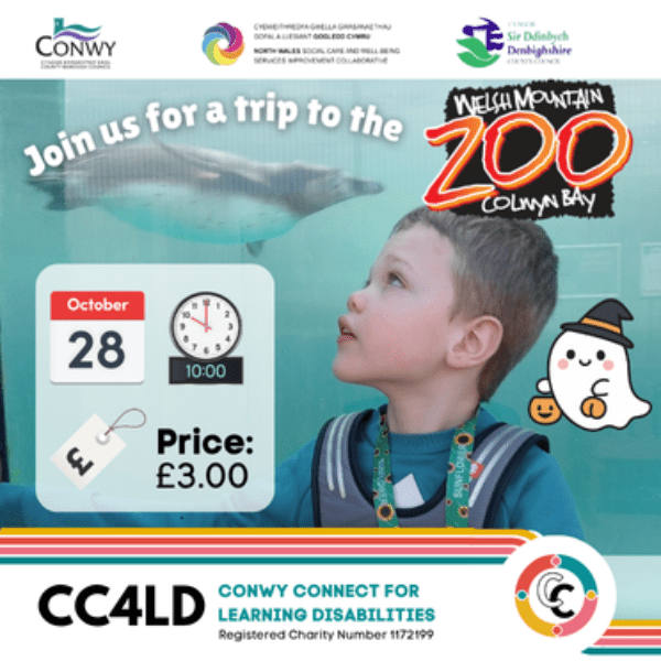 Welsh Mountain Zoo - Children &amp; Young People Age 0-25 banner image