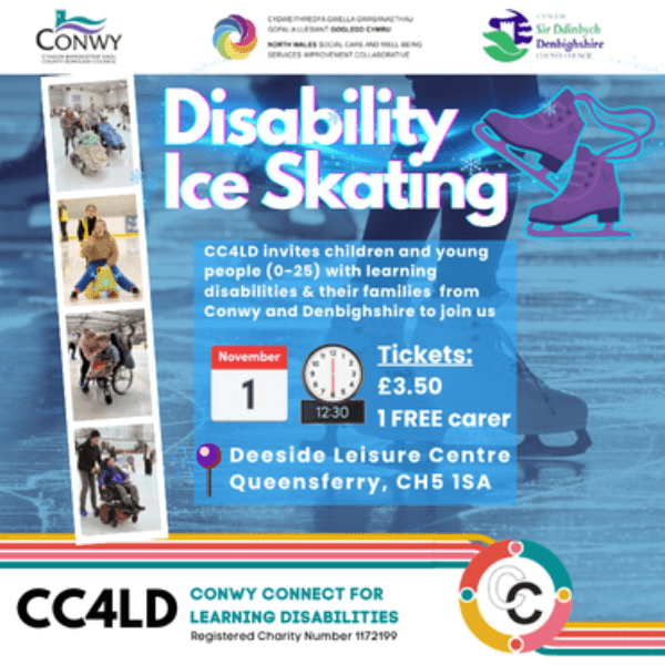 Disability Ice Skating banner image