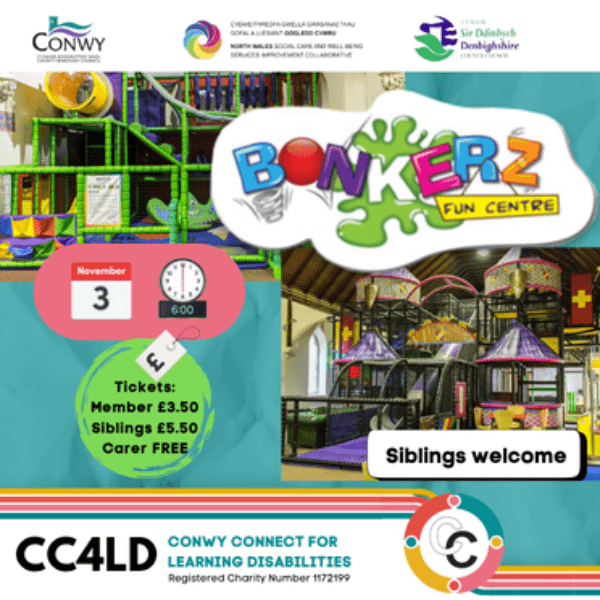 Soft Play at Bonkerz Fun Centre banner image