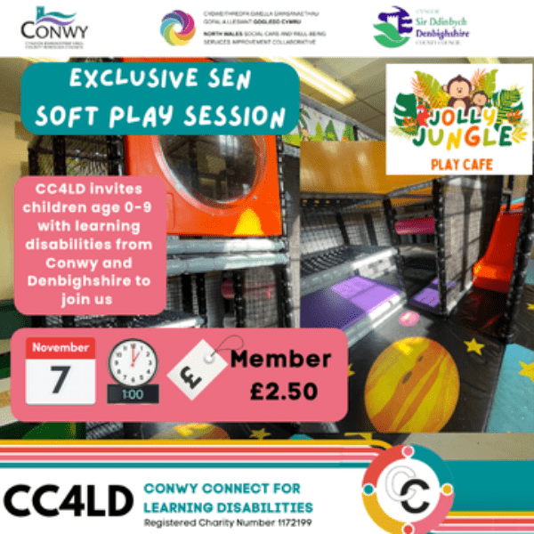 Exclusive SEN Soft Play Session - Members age 0 - 9 years old banner image