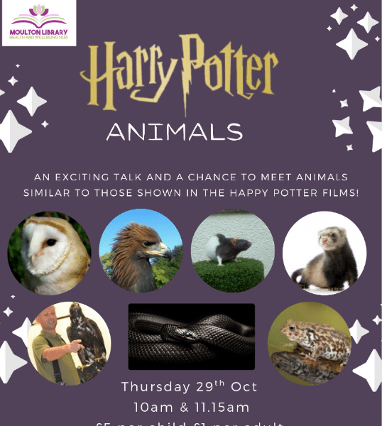 Harry Potter's Animals Halloween banner image