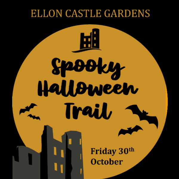 Spooky Halloween Trail banner image