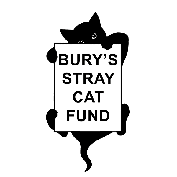 Talk: Cat Welfare &amp; Bury&rsquo;s Stray Cat Fund with Fran Mackintosh banner image
