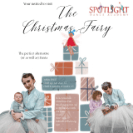 Visit to the Christmas Fairy banner image