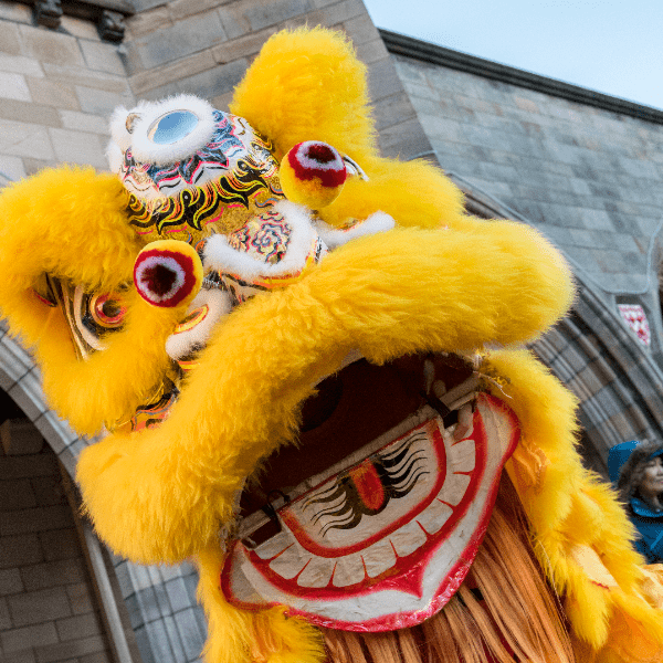 Ceilidh Connections: Where Scottish & Chinese Culture Meet banner image