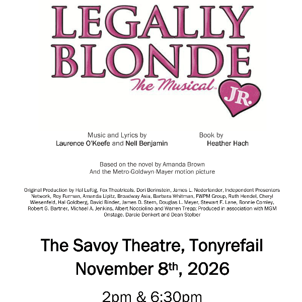 Horizons Dance Studio - Legally Blonde Jr banner image