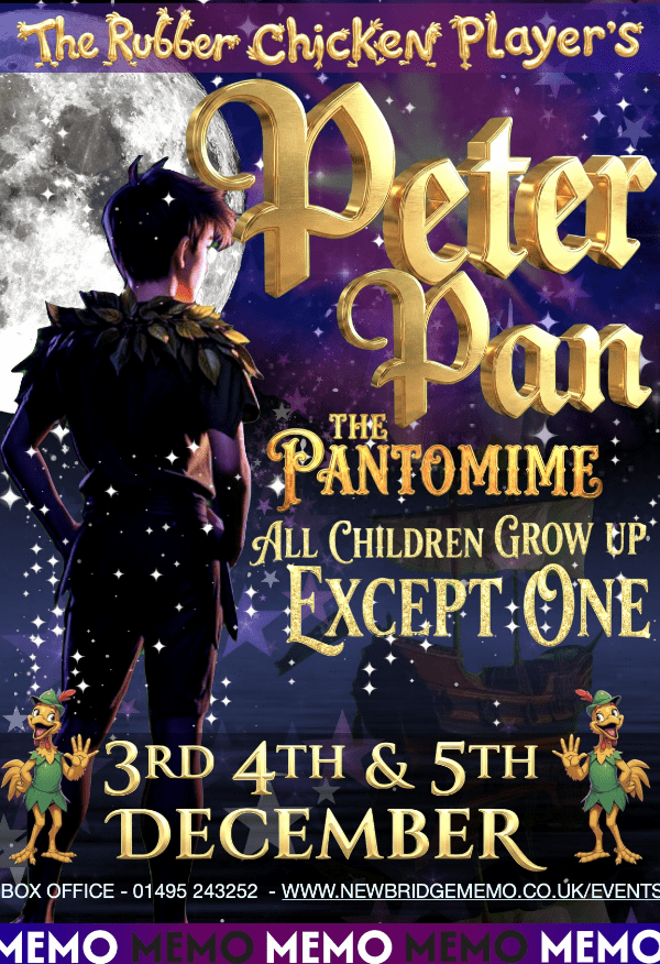 Peter Pan - Pantomime at Newbridge Memo event tickets from