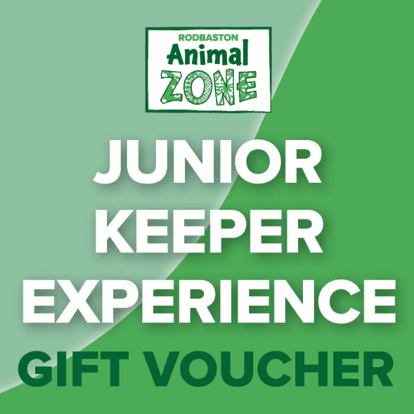 Junior Keeper Experience - Gift Voucher banner image