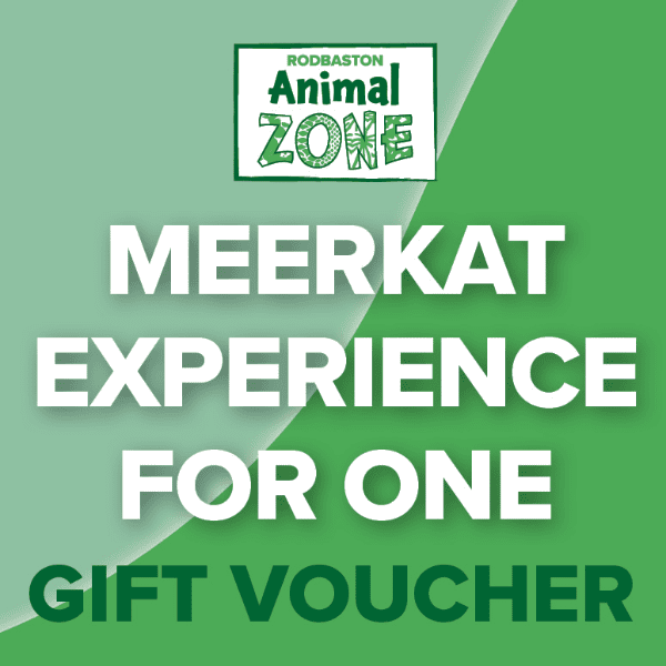 Meerkat Experience For One - Gift Voucher banner image