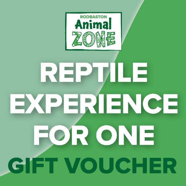 Reptile Experience For One - Gift Voucher banner image