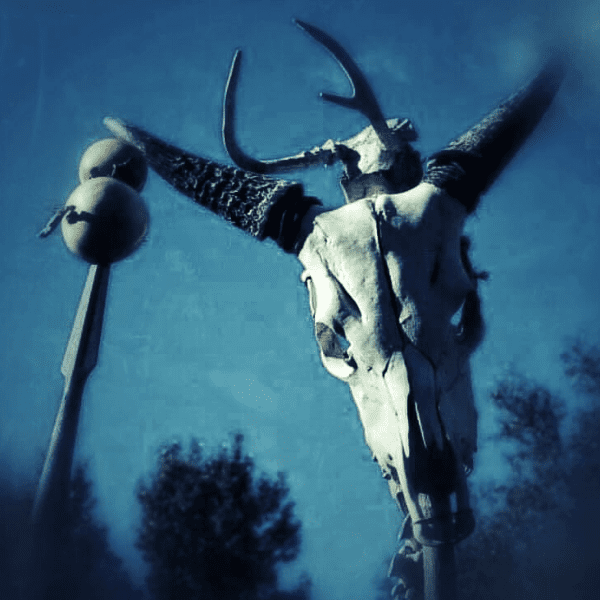 A FEAST OF FOOLS IV banner image